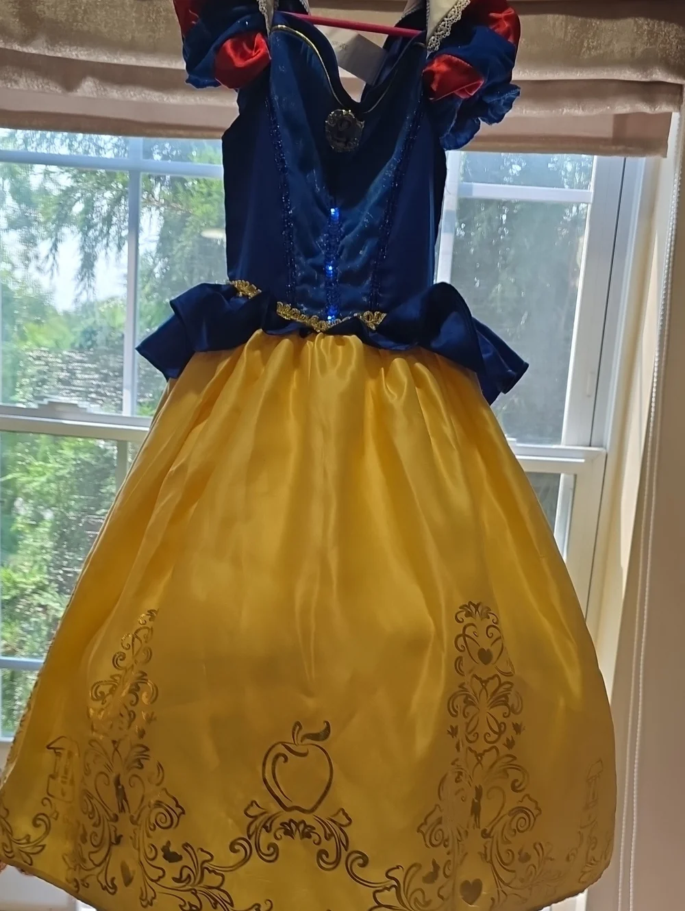 Disney Blue and Yellow Princess Dress Costume